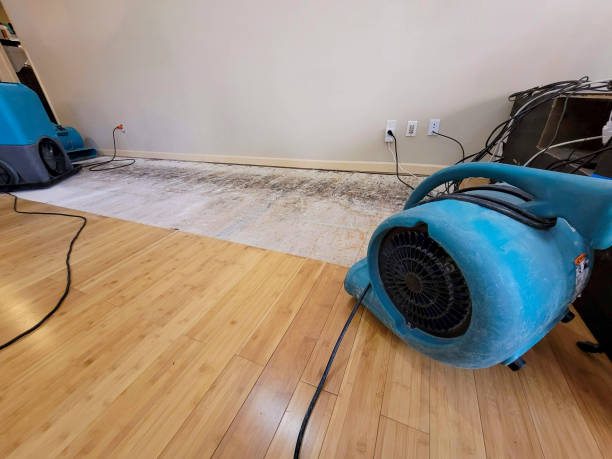 Professional Burst Pipe Water Damage technician working in Islandton, SC